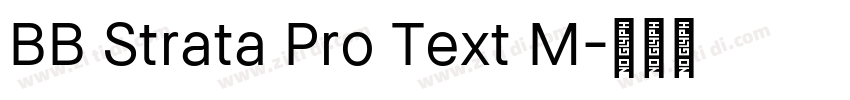 BB Strata Pro Text M字体转换